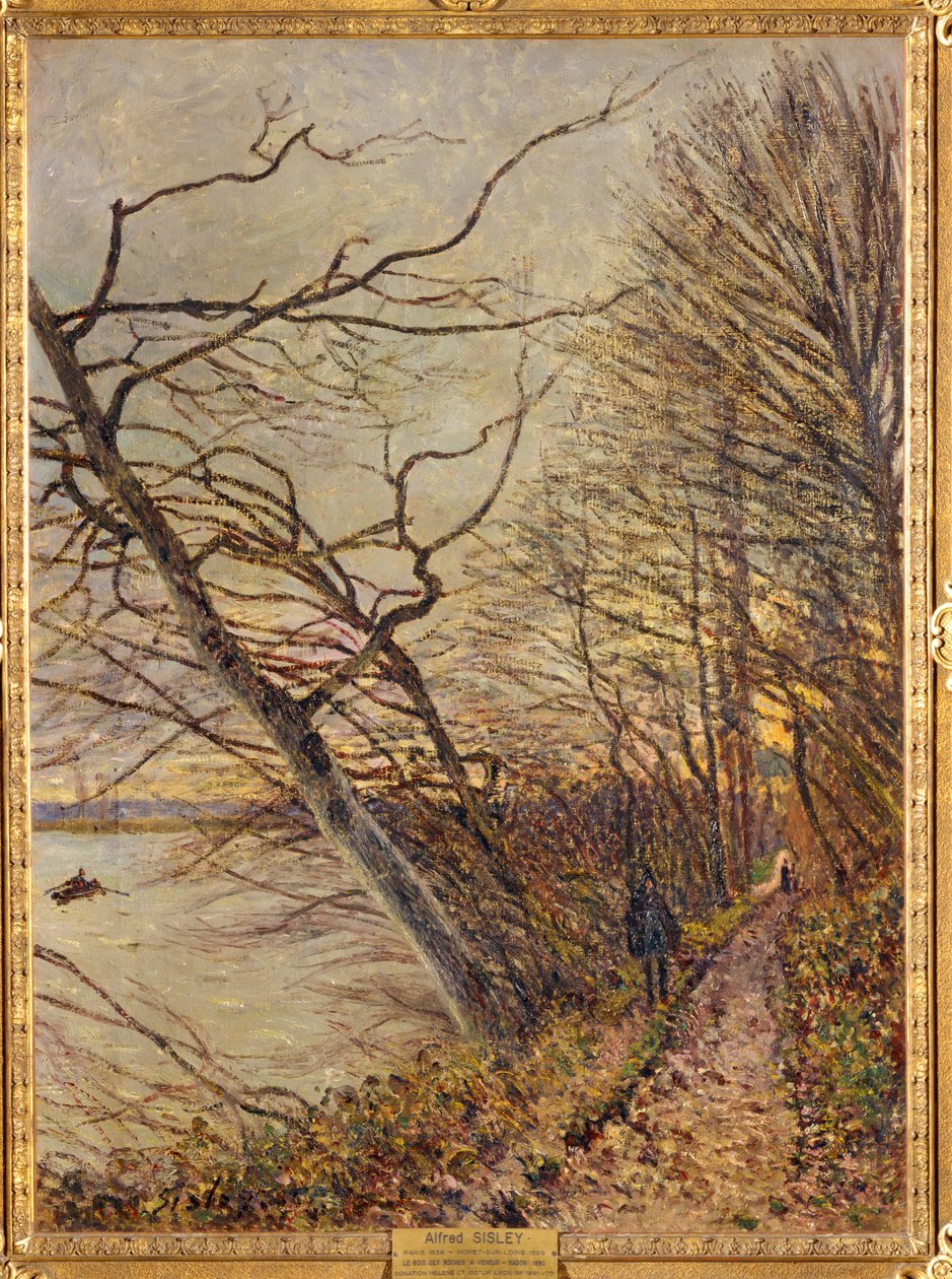Le Bois des Roches, Veneux-Nadon ... da Alfred Sisley