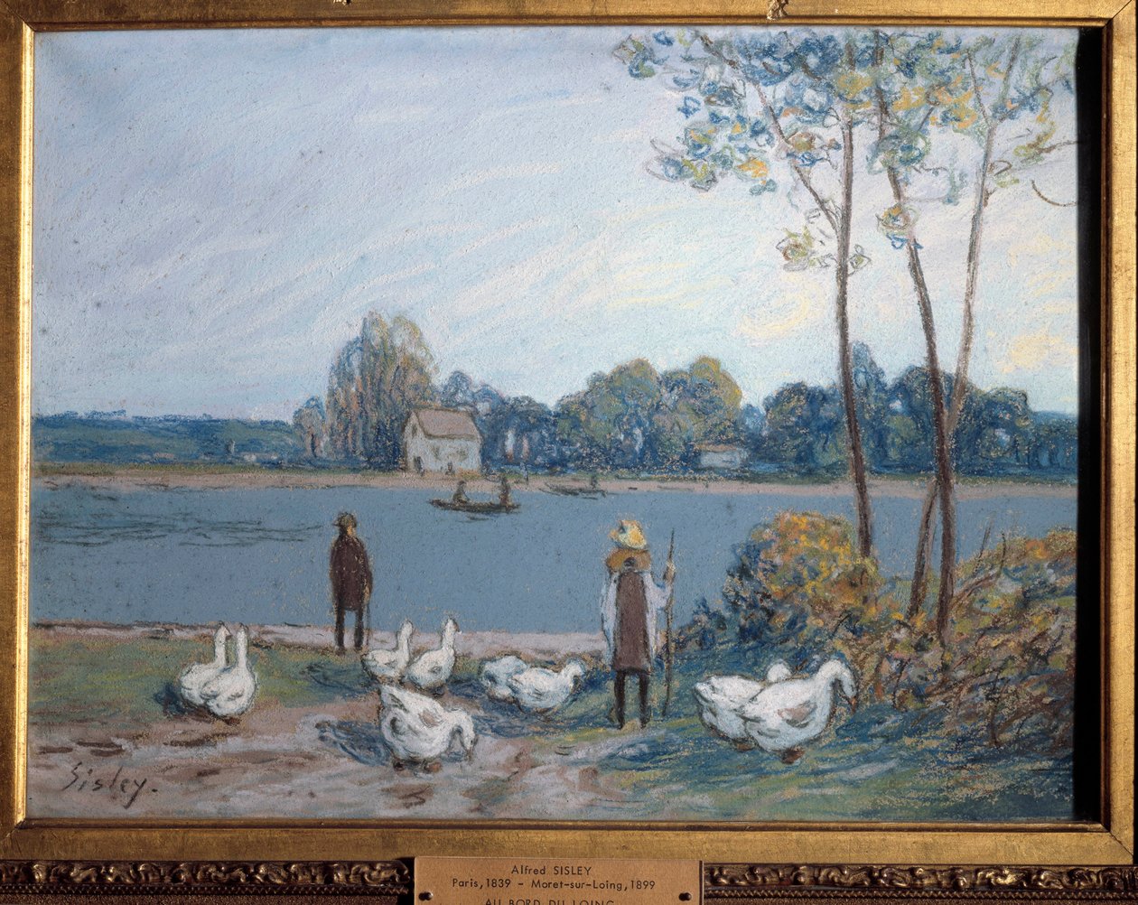 Sulla riva del Loing da Alfred Sisley
