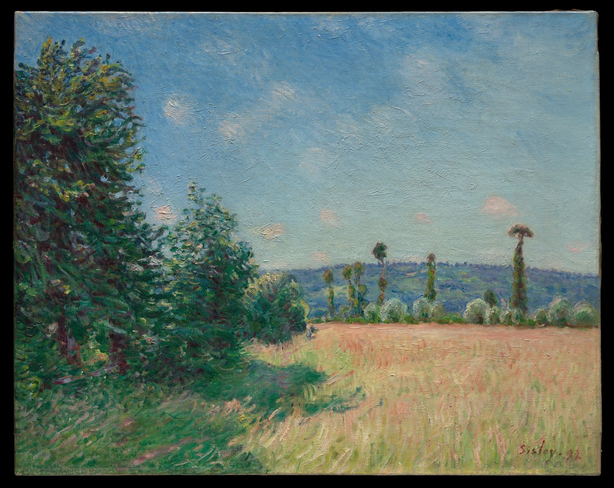 I prati di Sahurs al sole del mattino da Alfred Sisley