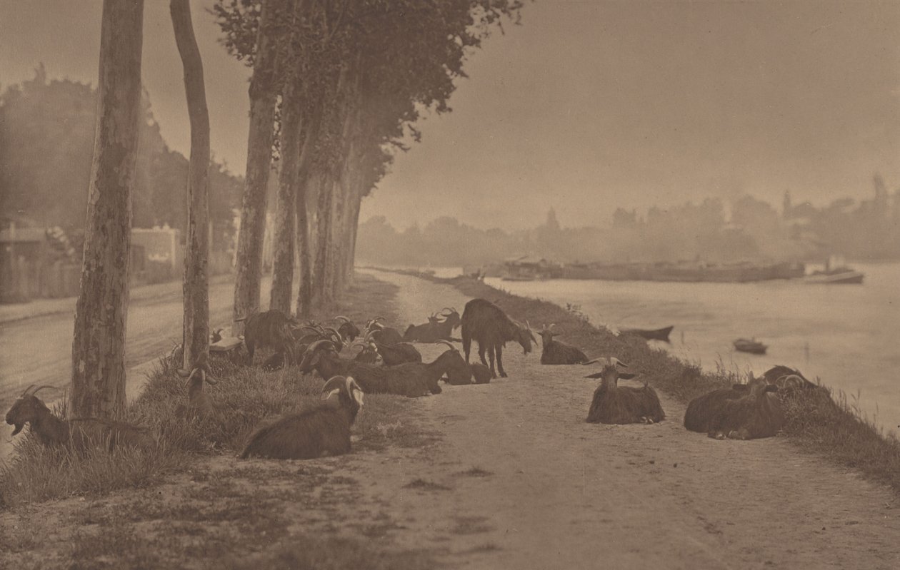 Un pannello decorativo da Alfred Stieglitz