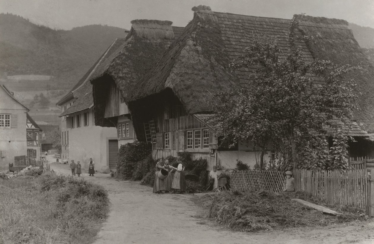 Un incontro a Gutach da Alfred Stieglitz