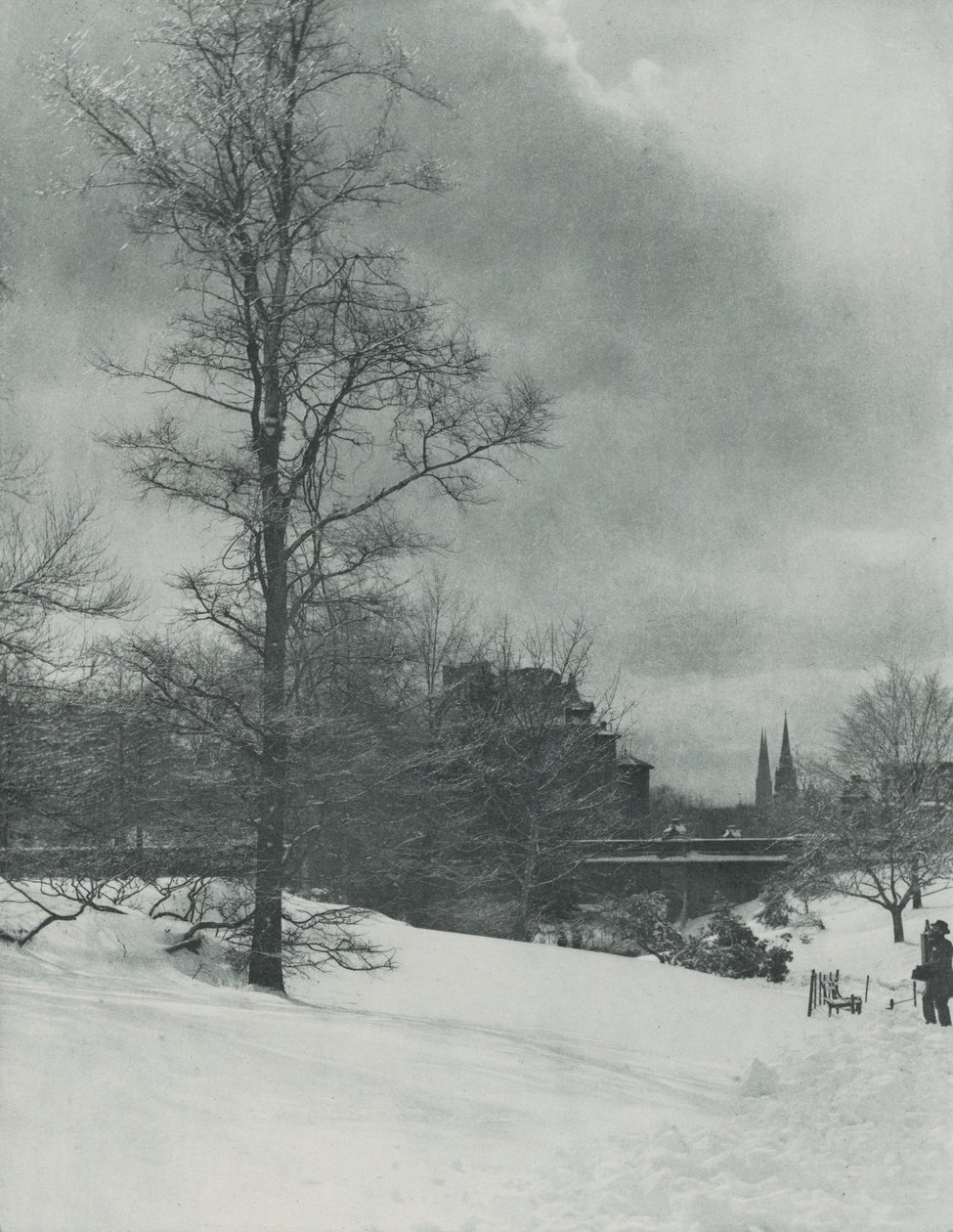 Un cielo invernale — Central Park da Alfred Stieglitz