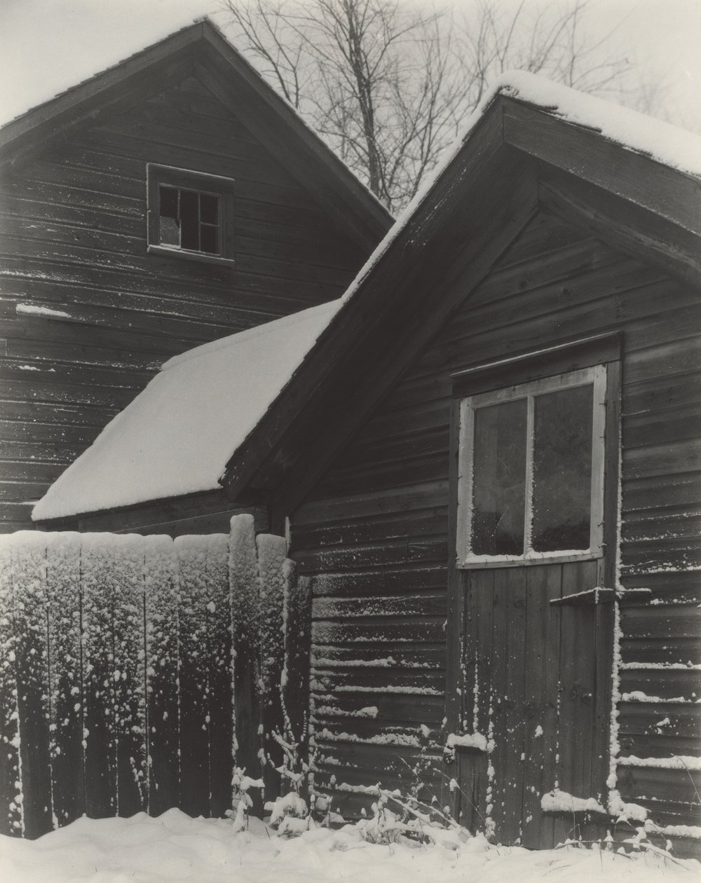 Bambini e neve da Alfred Stieglitz