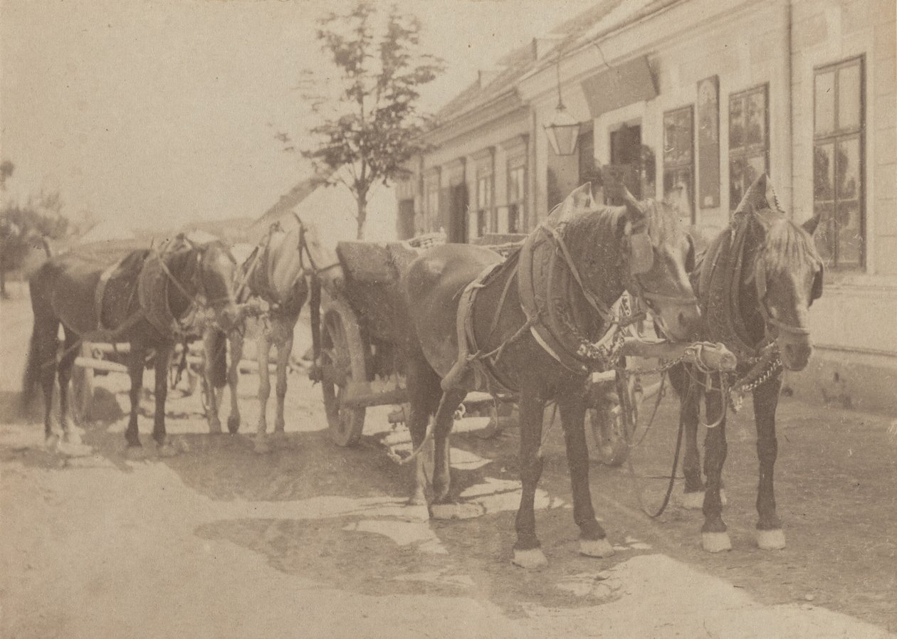 Davanti alla taverna da Alfred Stieglitz