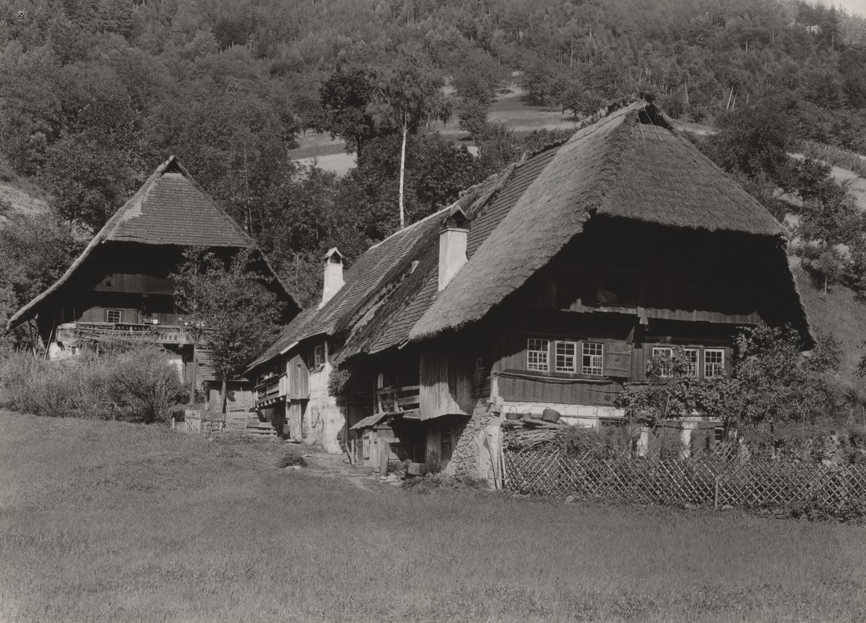 Casa della Foresta Nera da Alfred Stieglitz