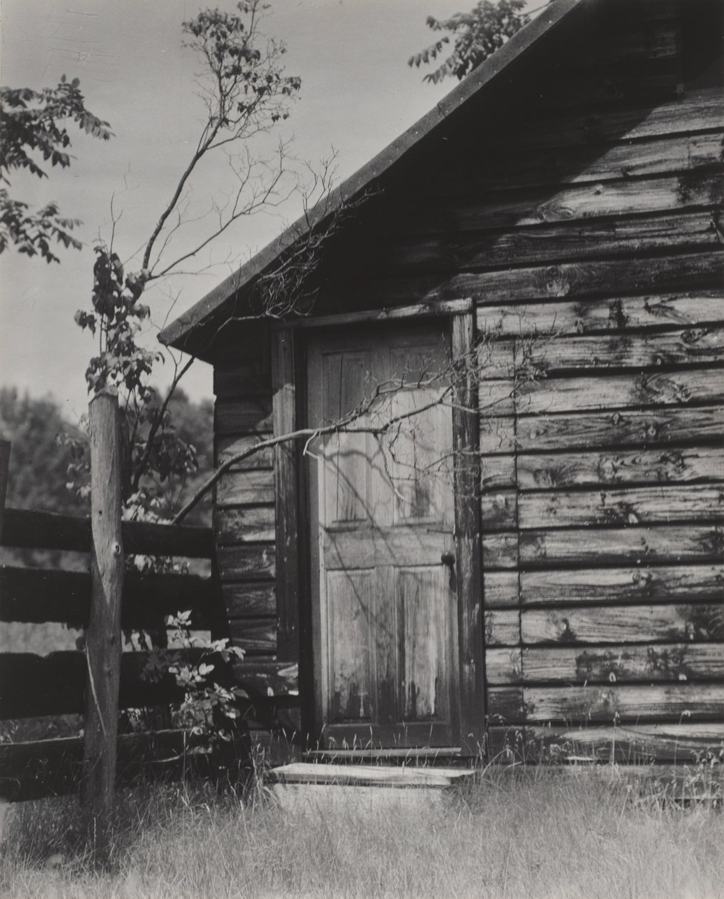 Porta di una baracca, Lake George da Alfred Stieglitz