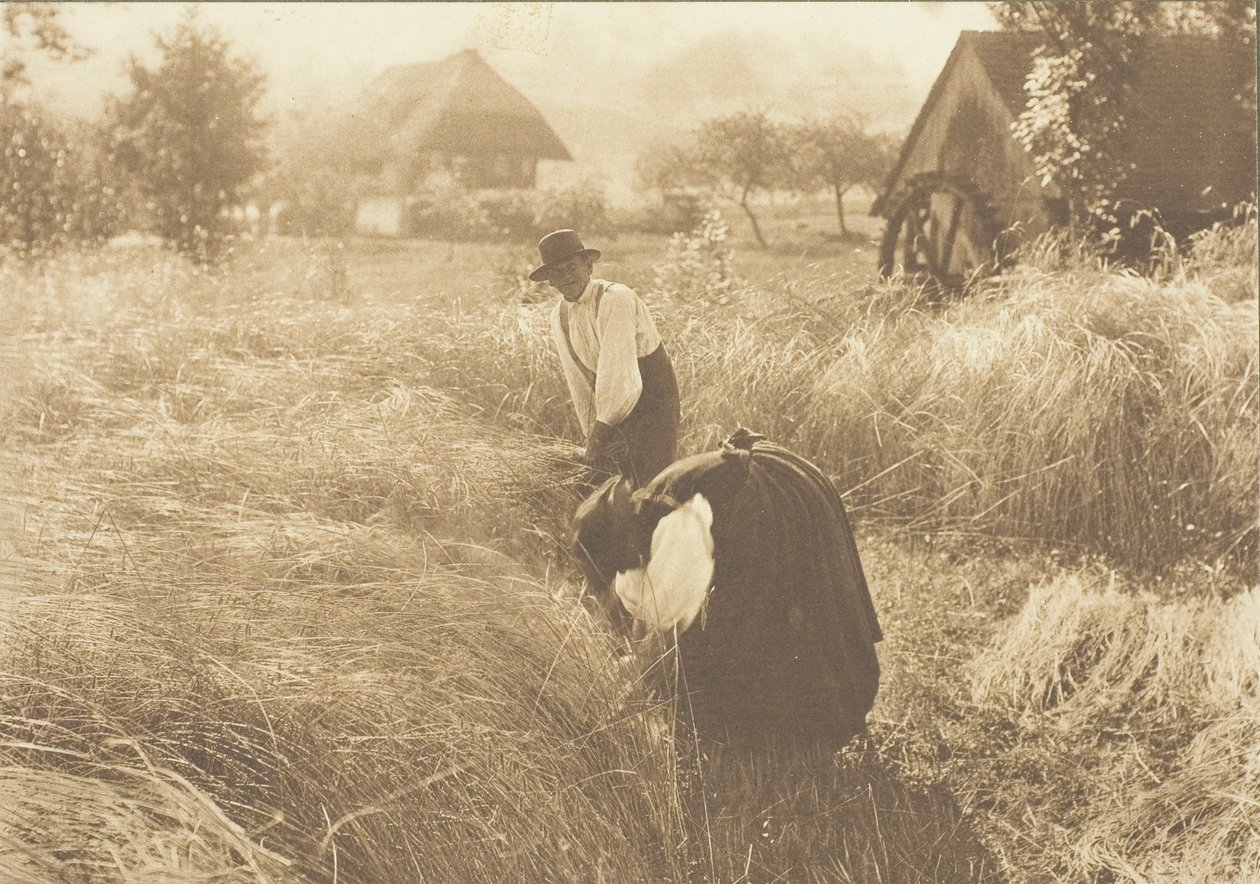 Mattina presto da Alfred Stieglitz