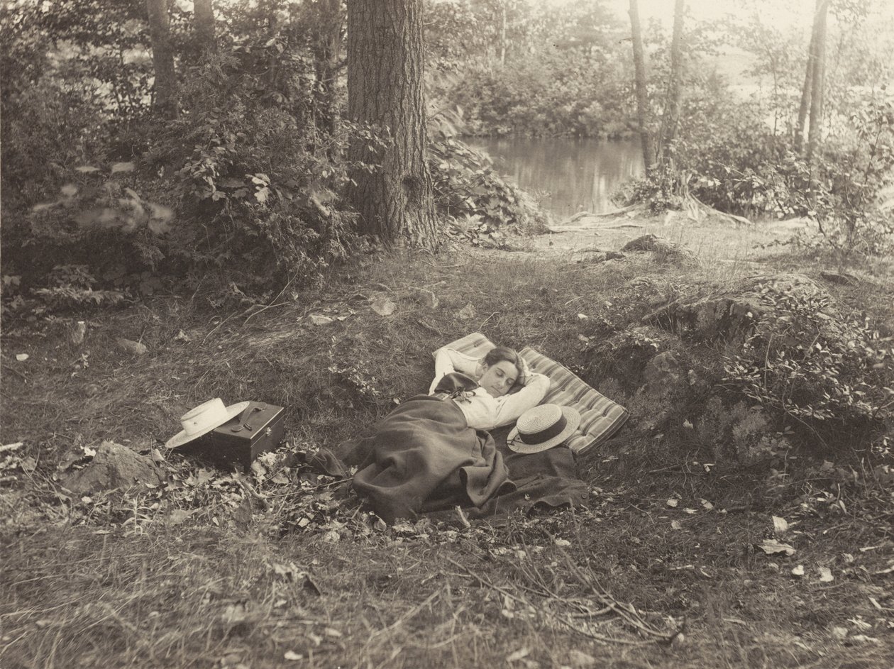 Emmy Obermeyer, Tea Island, Lago George da Alfred Stieglitz