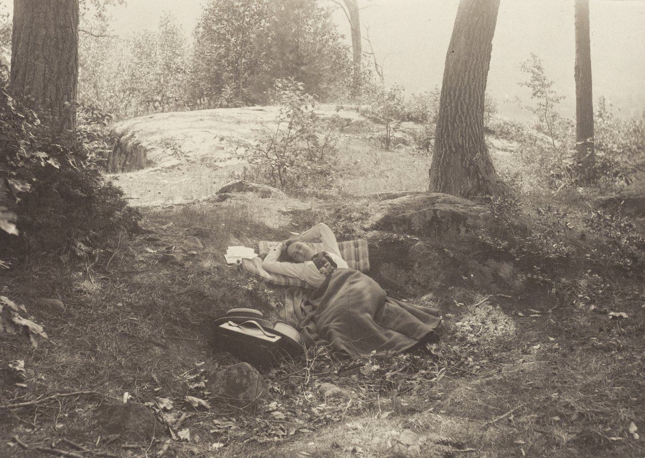 Emmy Obermeyer, Tea Island, lago George da Alfred Stieglitz