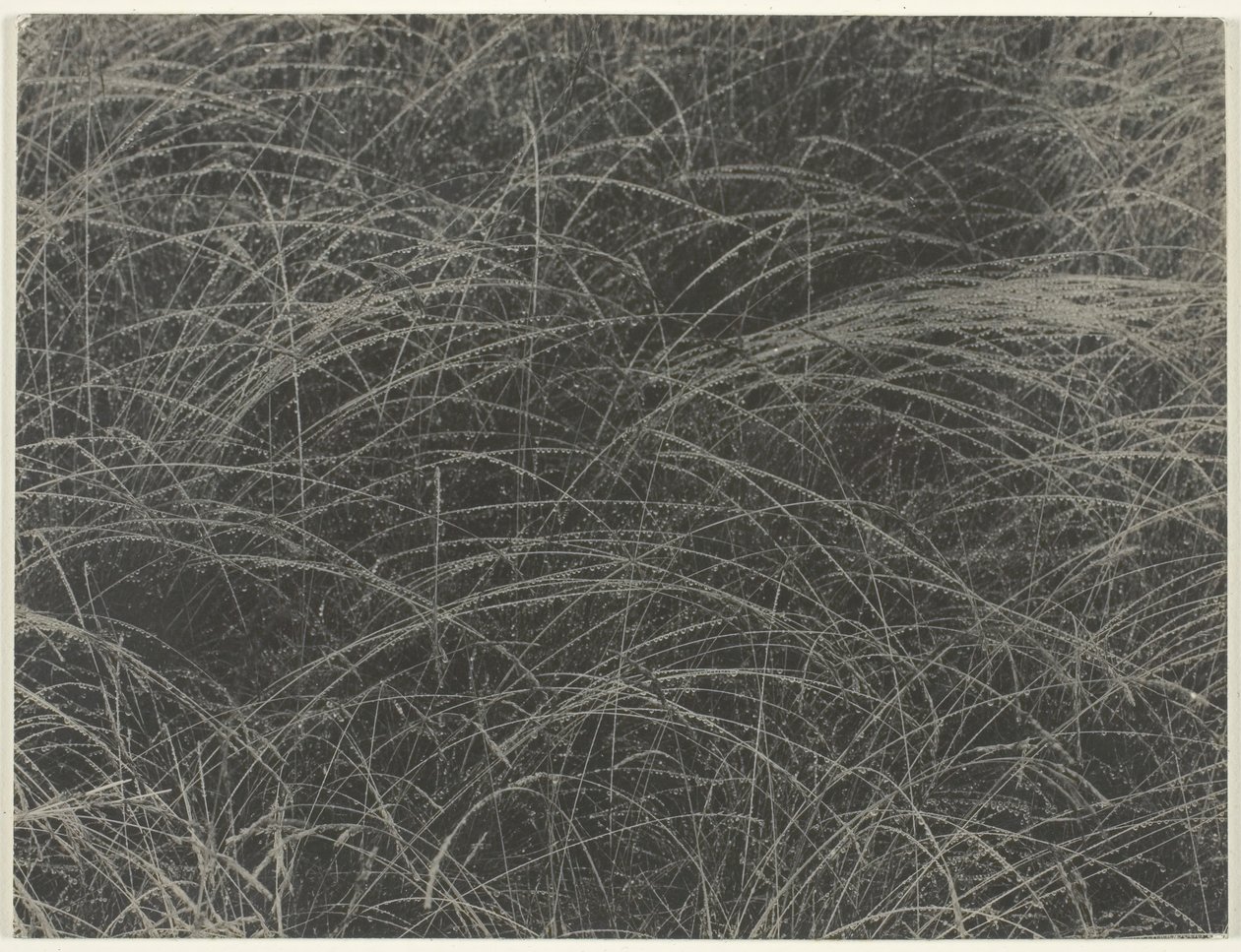 Equivalente, 1927 da Alfred Stieglitz