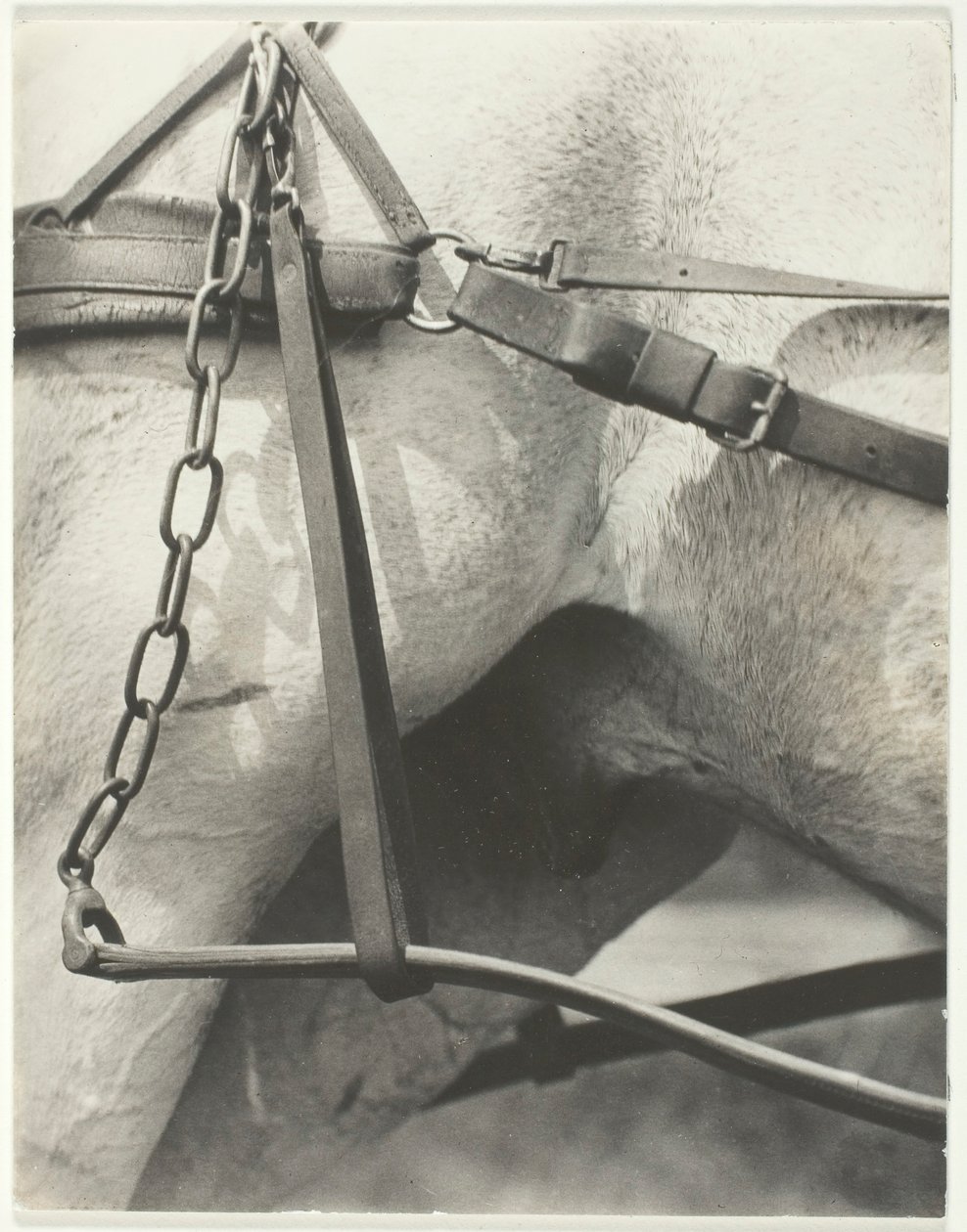 Equivalente, Spiritual America, 1923 da Alfred Stieglitz