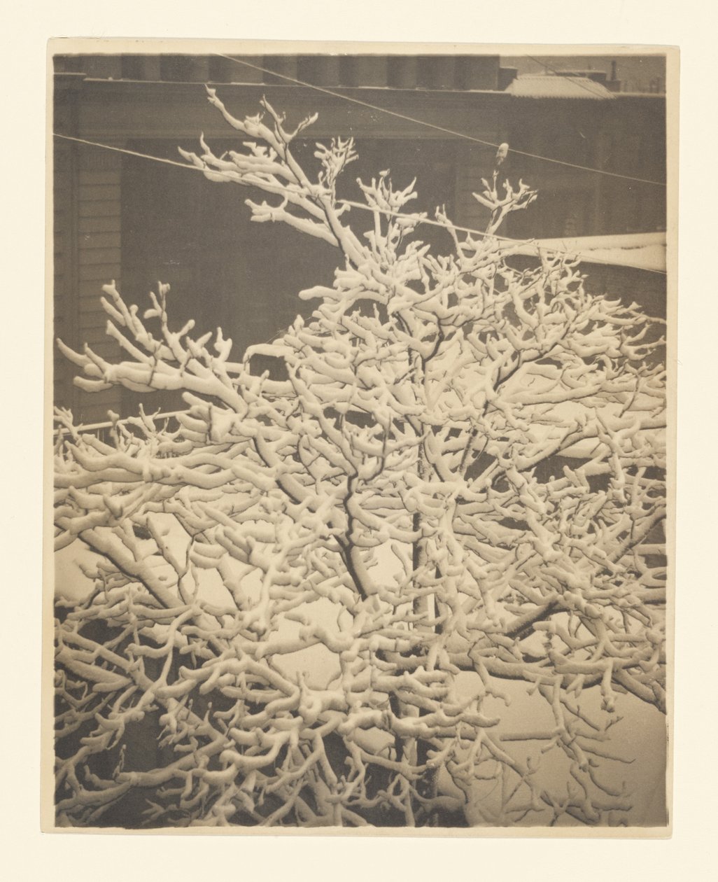 Dalla finestra sul retro del 291 da Alfred Stieglitz