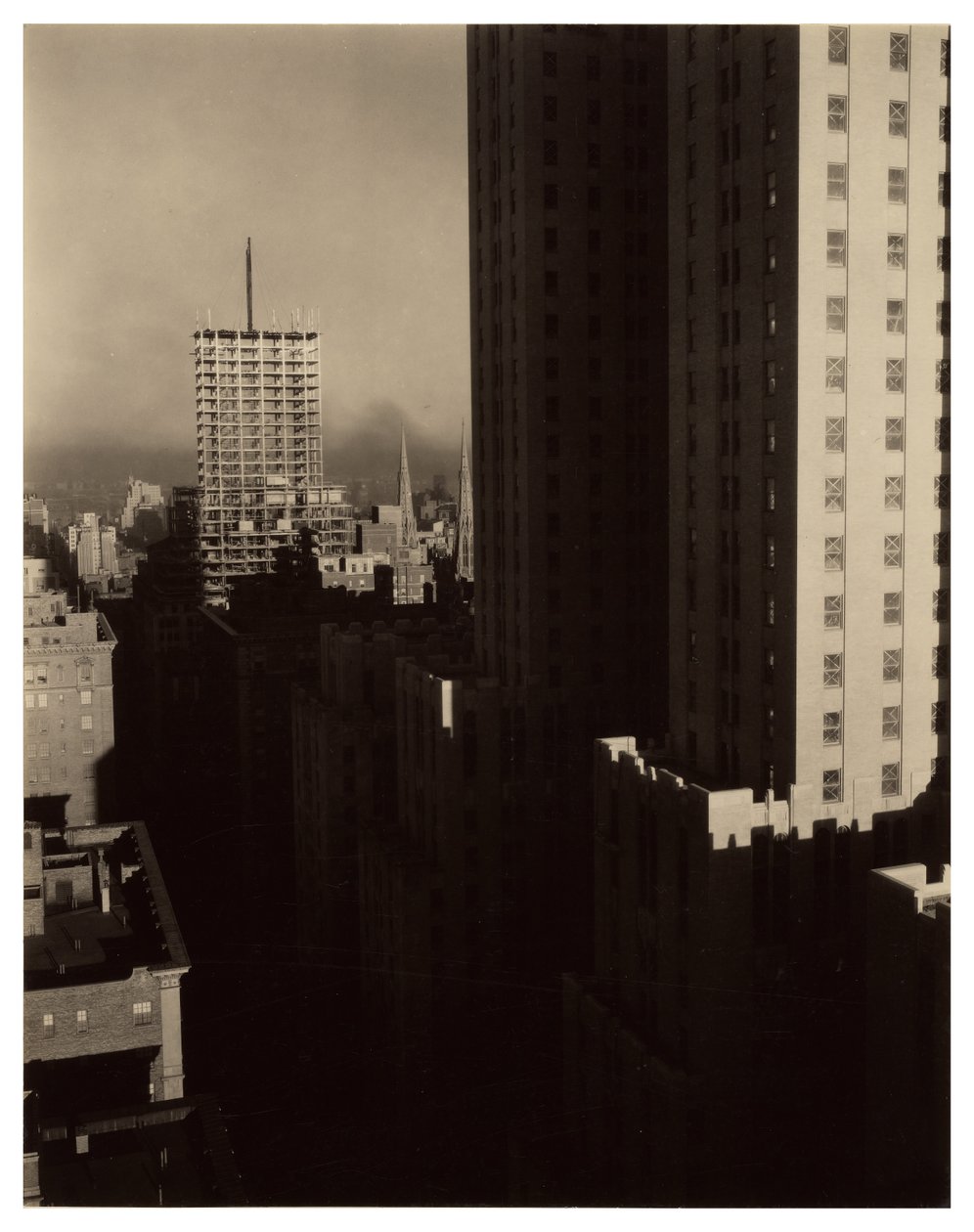 Da Shelton da Alfred Stieglitz
