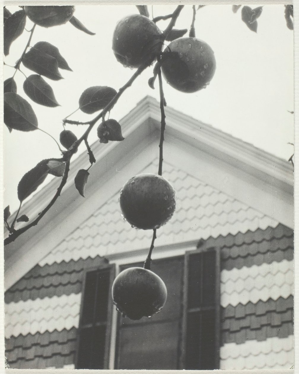 Gable e mele, 1922 da Alfred Stieglitz