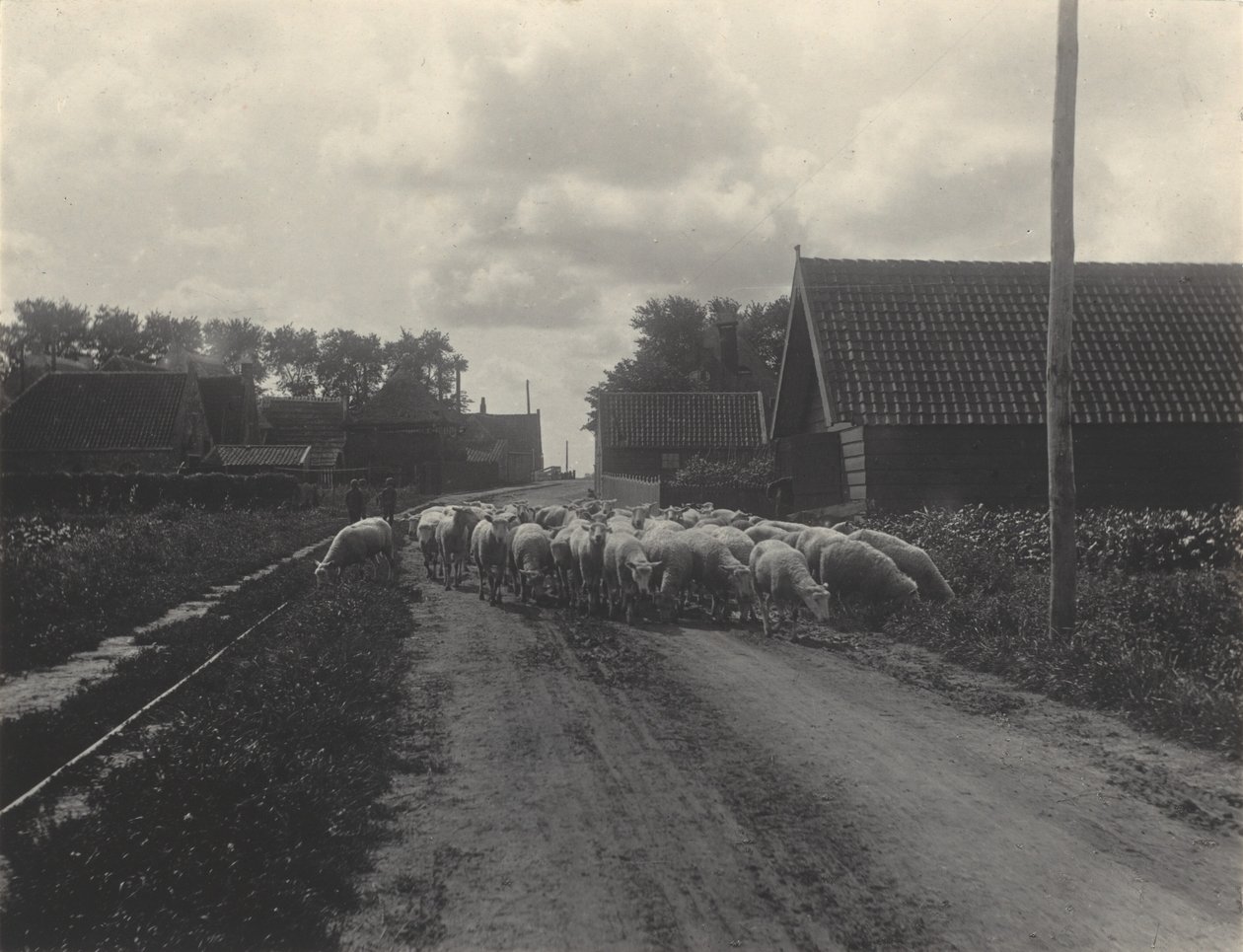 Verso il pascolo da Alfred Stieglitz