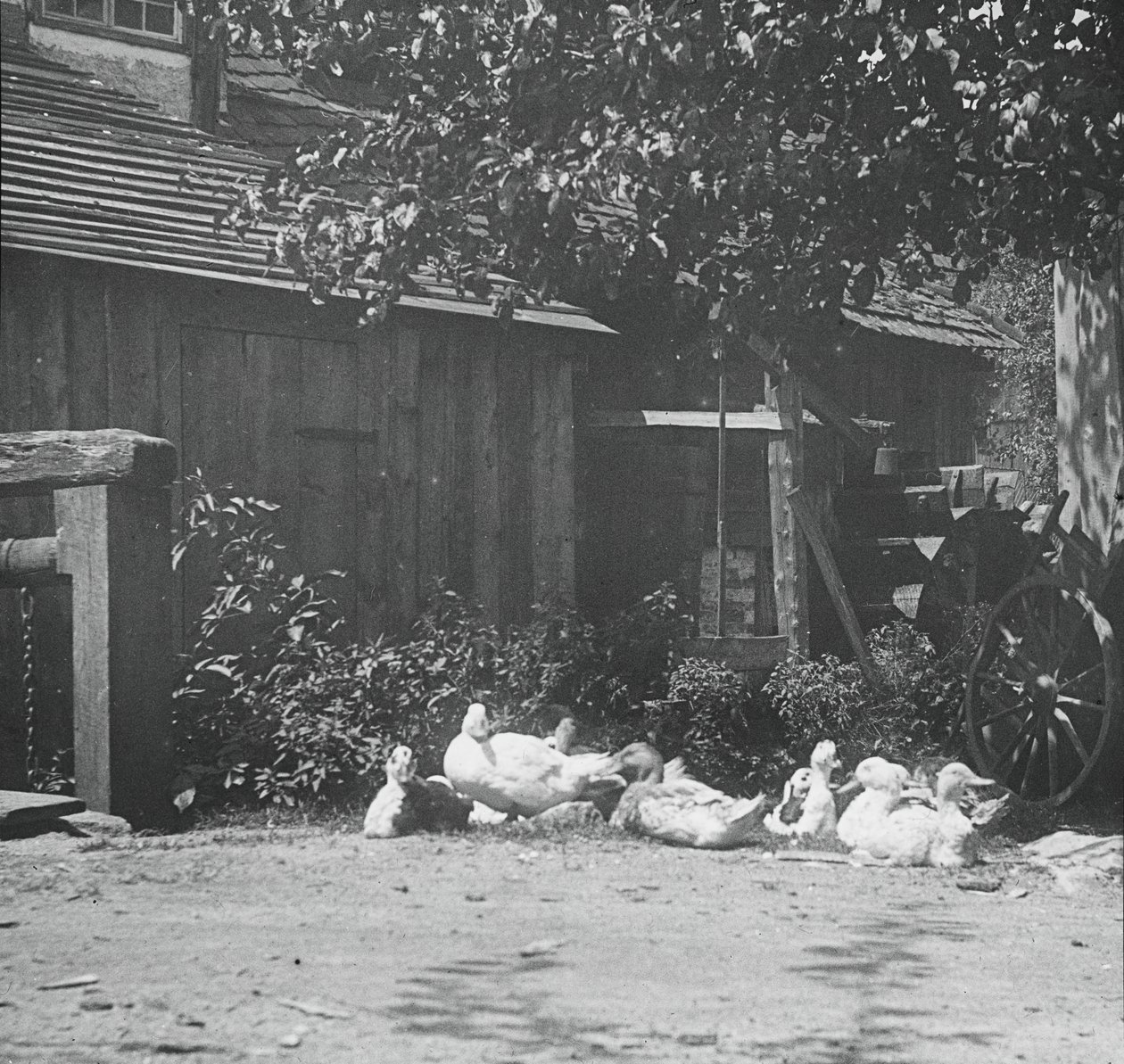 Gutach, 1894 da Alfred Stieglitz
