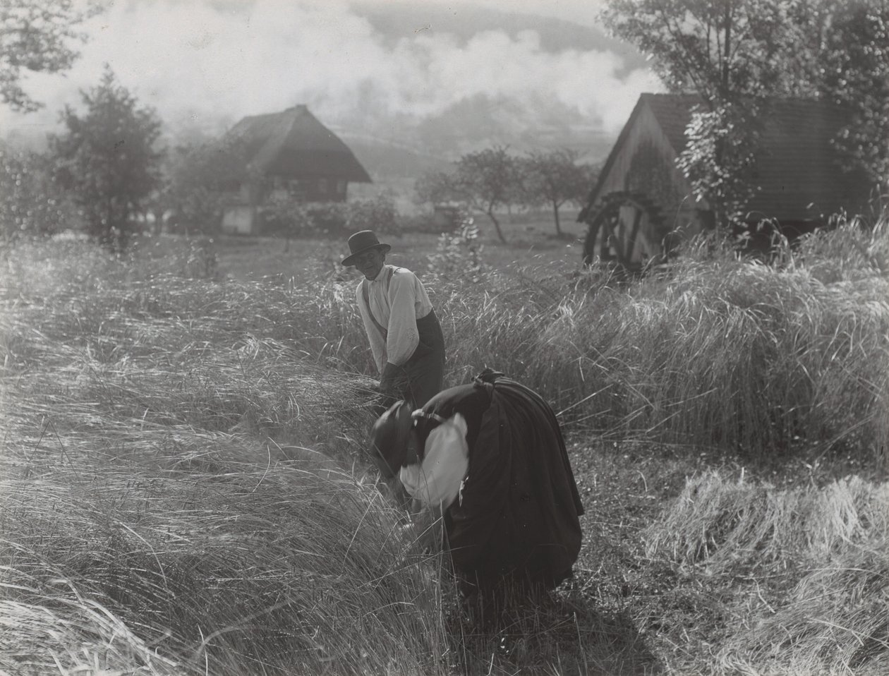 Raccolta, Foresta Nera da Alfred Stieglitz