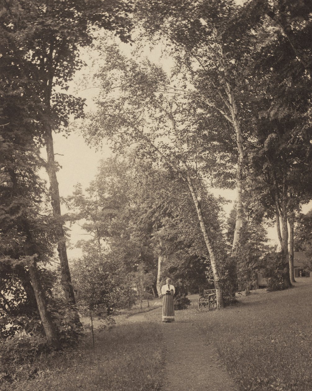 Sentiero di Hedwig, Oaklawn, Lake George da Alfred Stieglitz