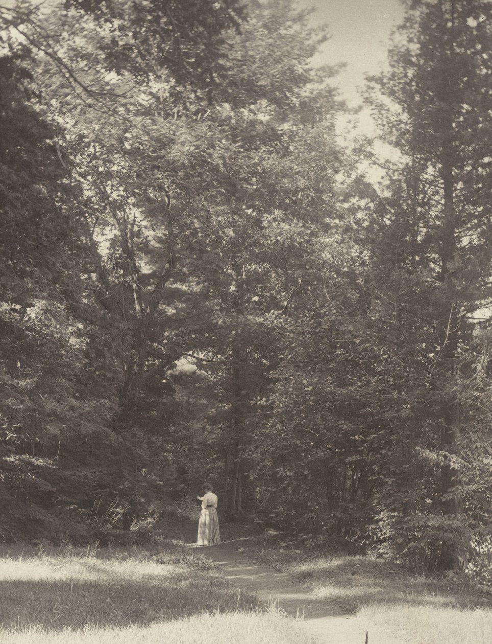"Hedwigsweg" II, Lake George da Alfred Stieglitz