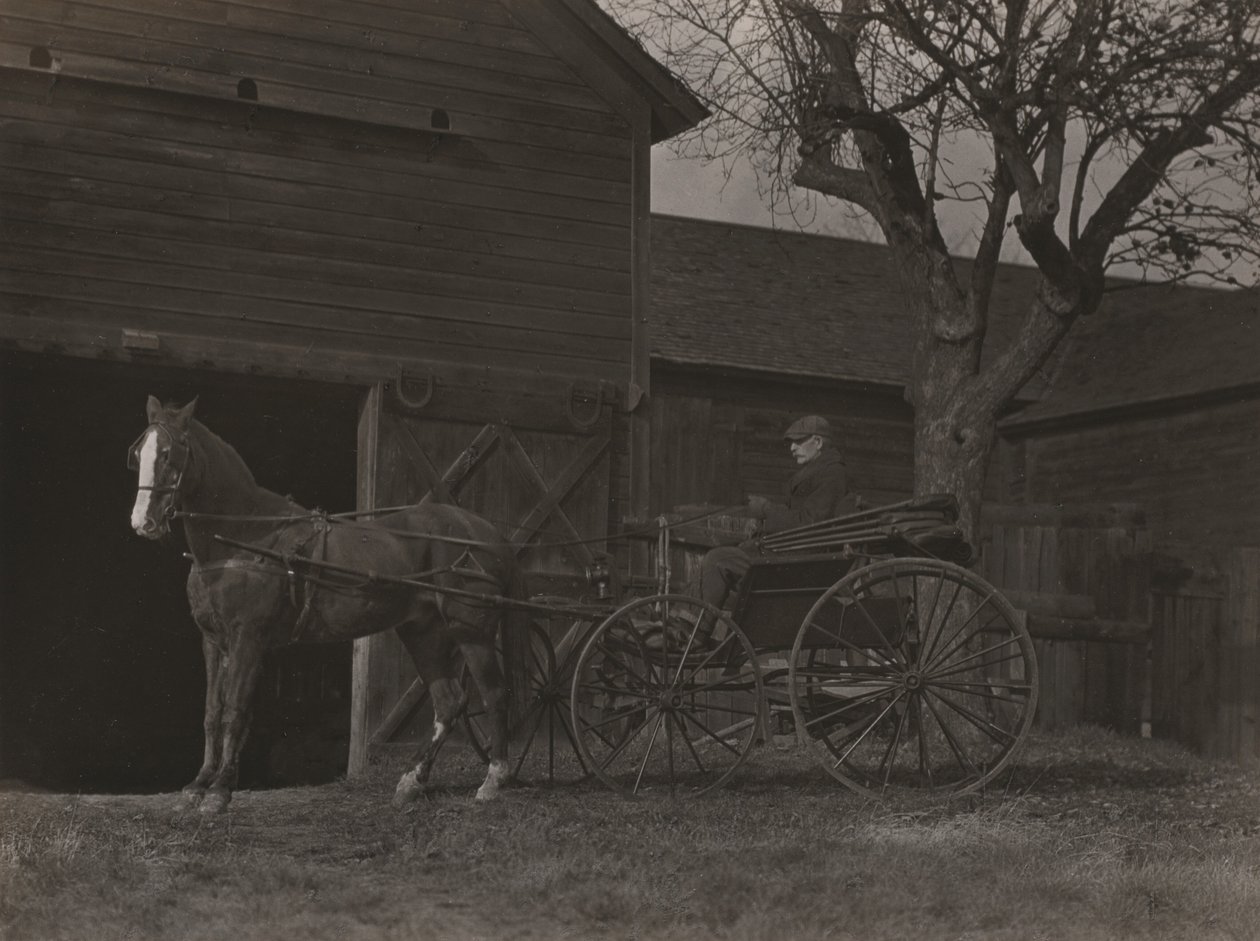 Cavallo e carrozza da Alfred Stieglitz