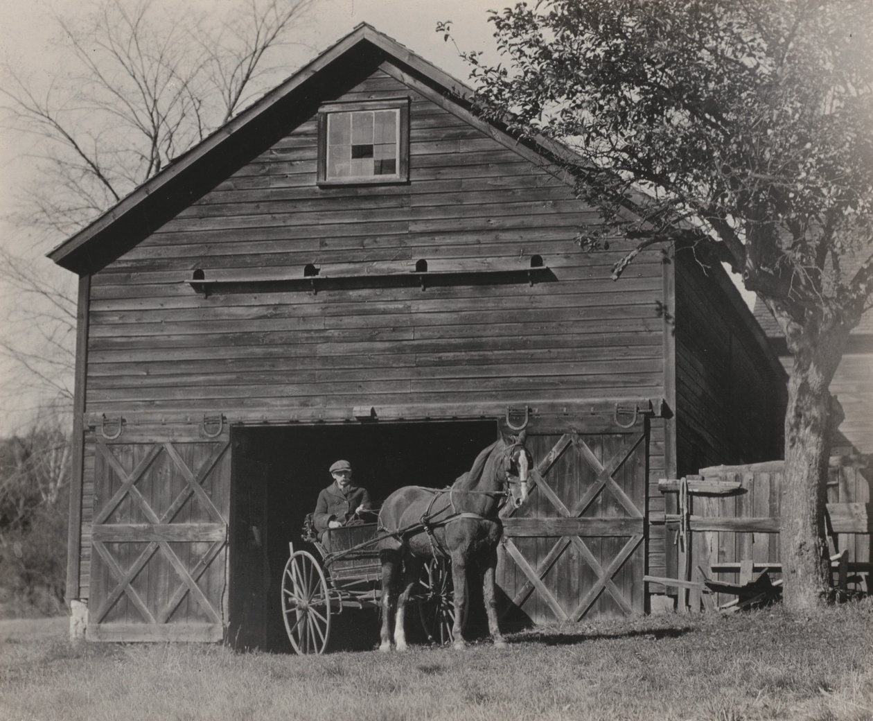 Cavallo e carrozza da Alfred Stieglitz