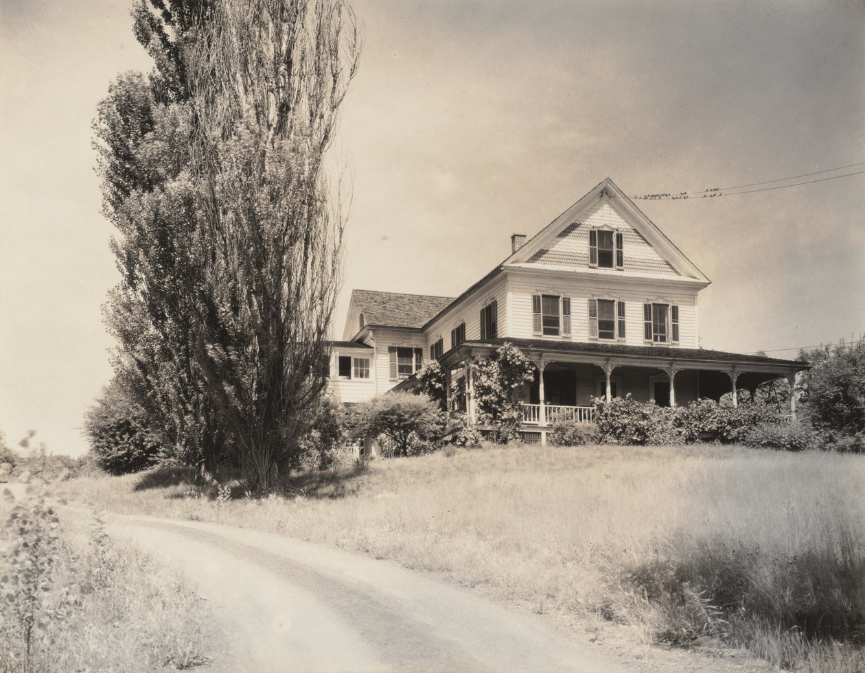 House and Poplars, Lake George da Alfred Stieglitz
