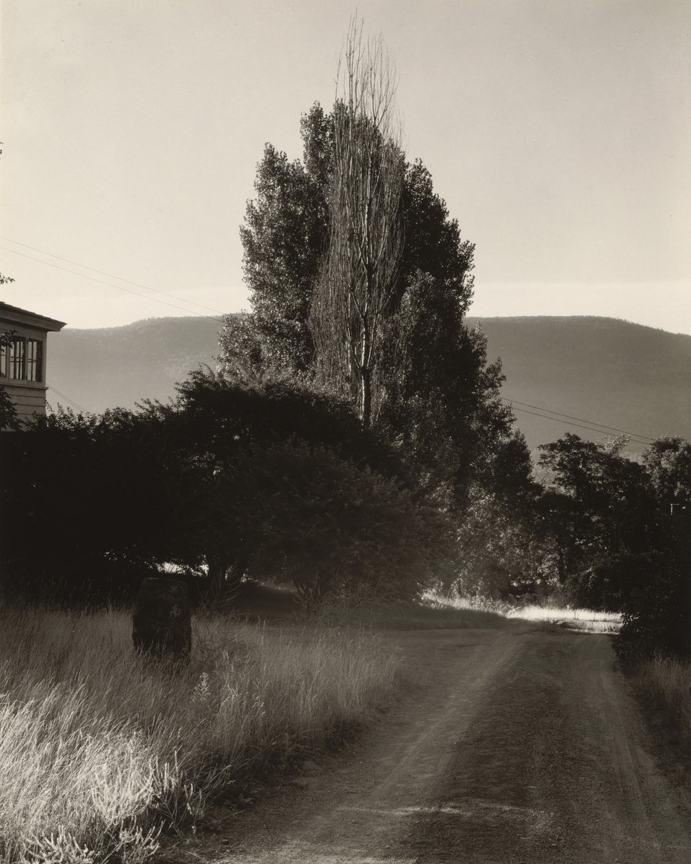 Casa e pioppi, Lake George da Alfred Stieglitz