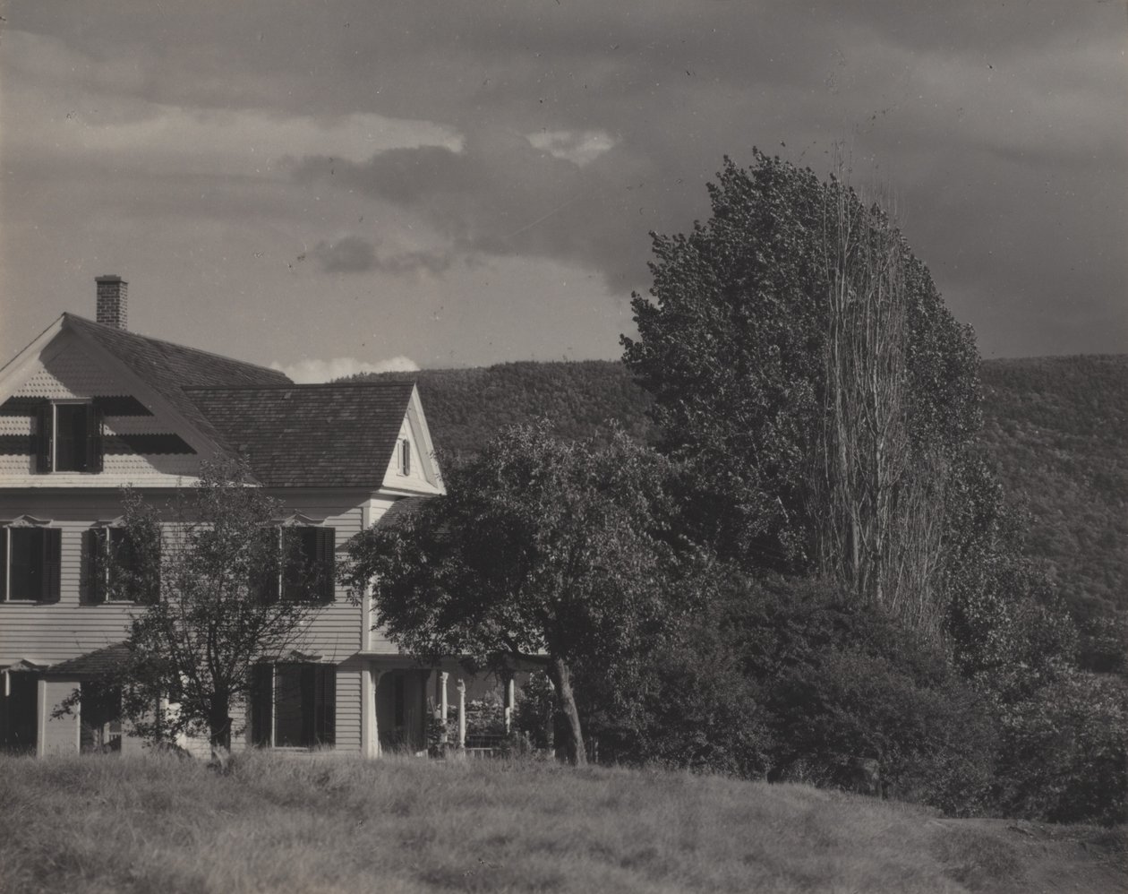 Casa e pioppi, Lake George da Alfred Stieglitz