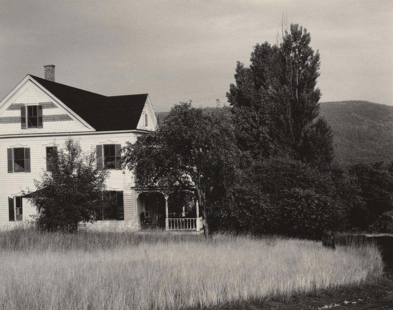 Casa e alberi, Lago George da Alfred Stieglitz