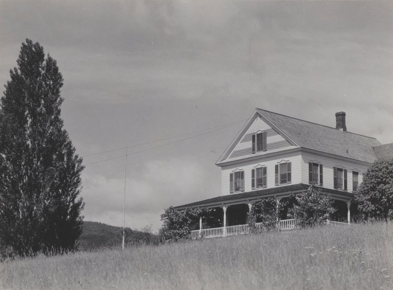 Casa sulla collina, Lake George da Alfred Stieglitz