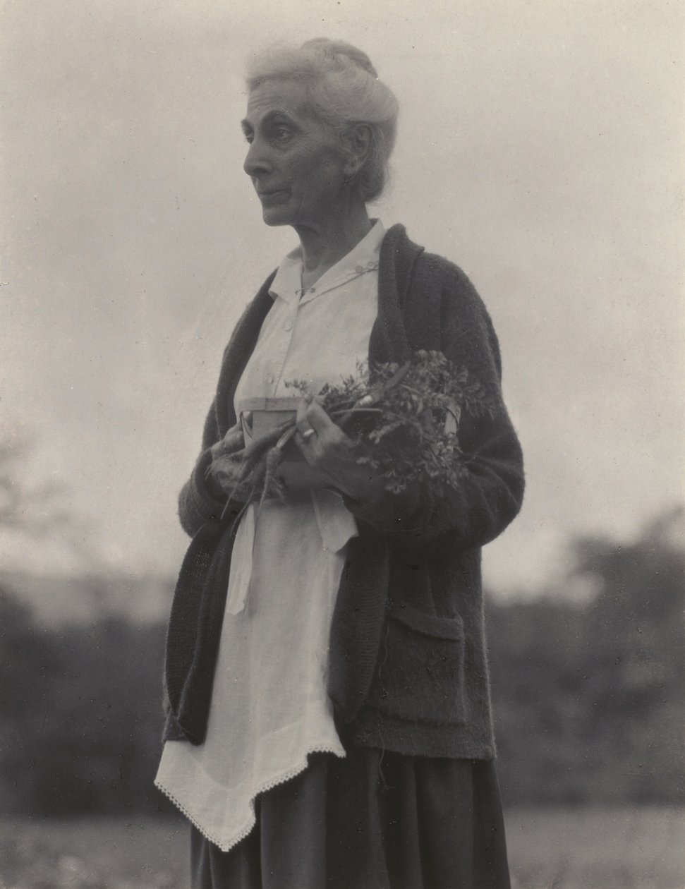 Katherine Herzig da Alfred Stieglitz