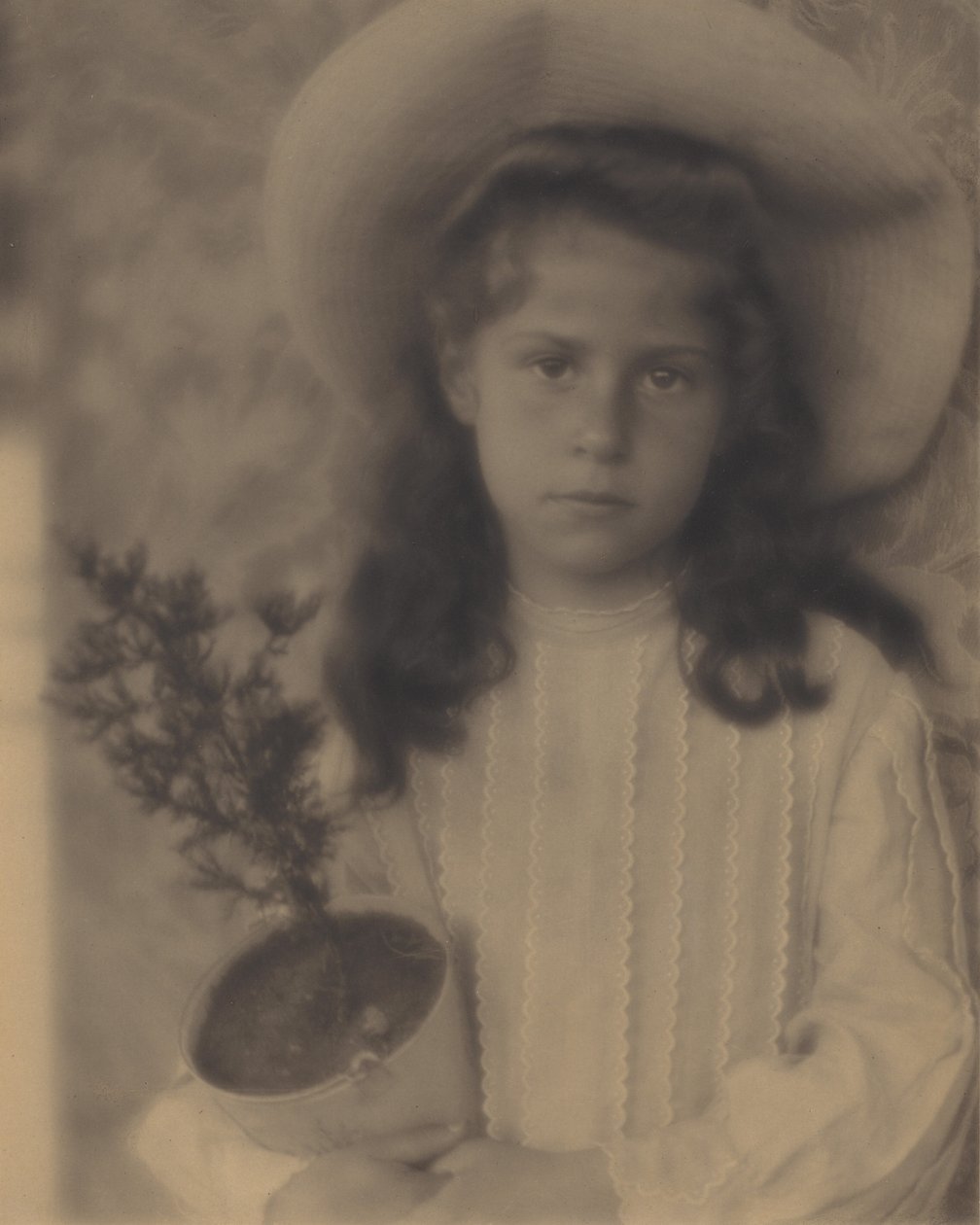 Kitty — Vaso da fiori da Alfred Stieglitz