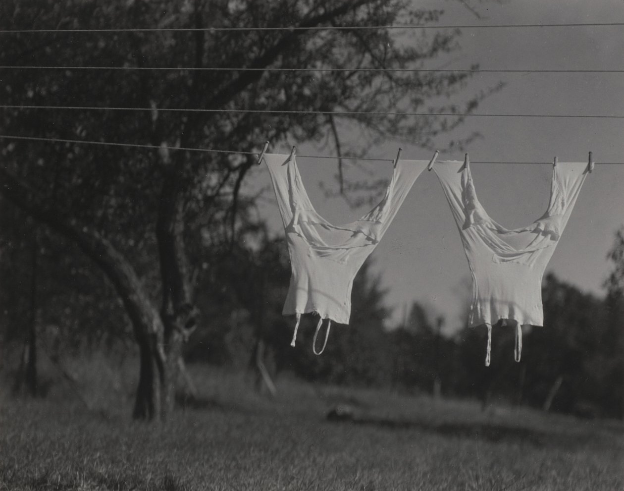 Biancheria intima lunga, Lake George da Alfred Stieglitz