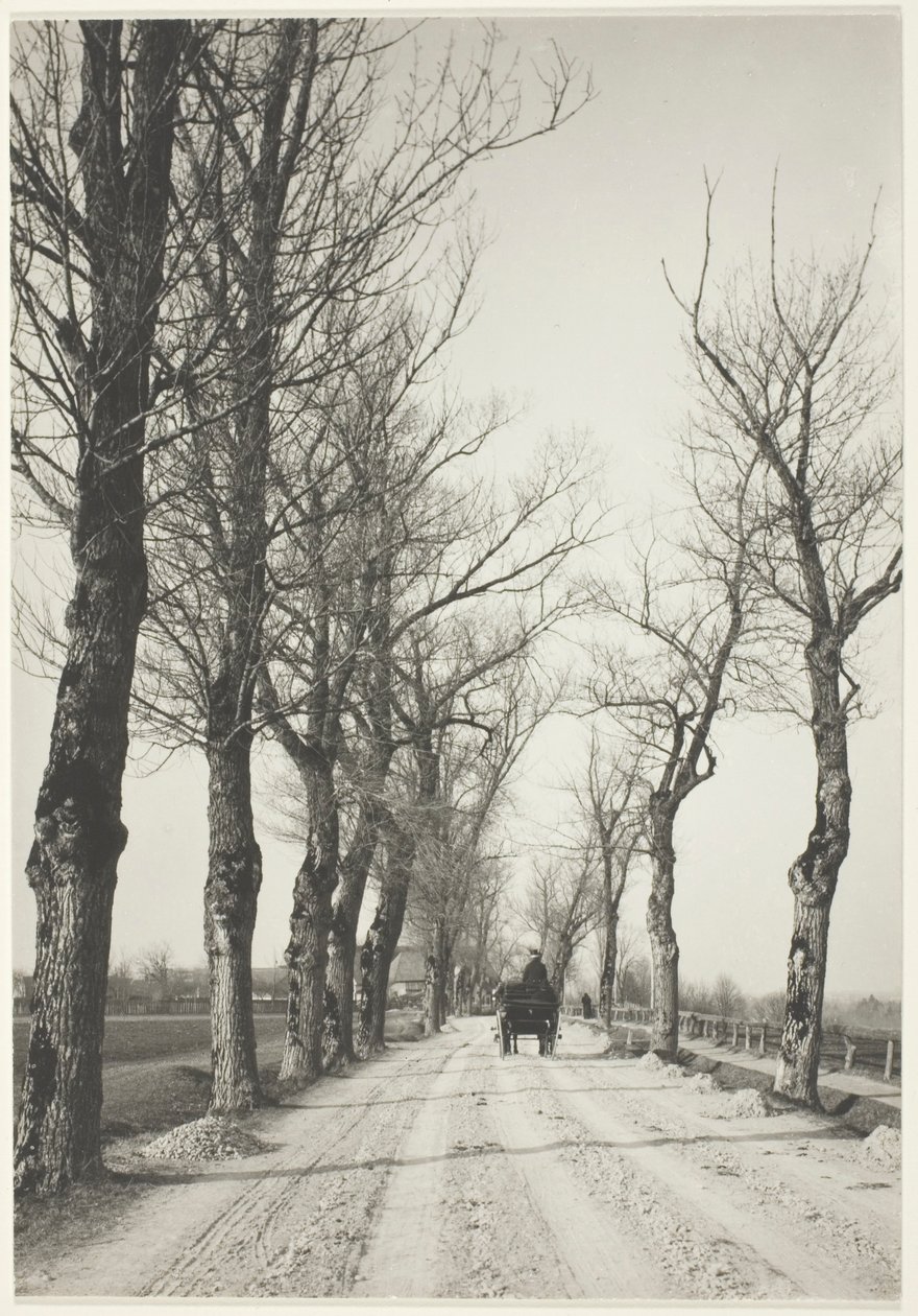 Giorni di novembre da Alfred Stieglitz