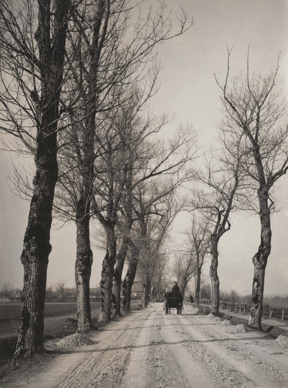 Giorni di novembre da Alfred Stieglitz