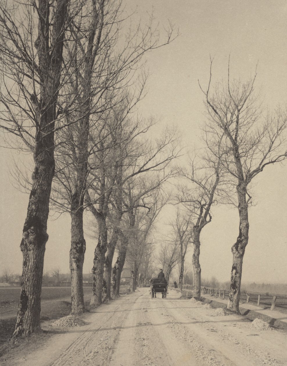 Giorni di novembre da Alfred Stieglitz
