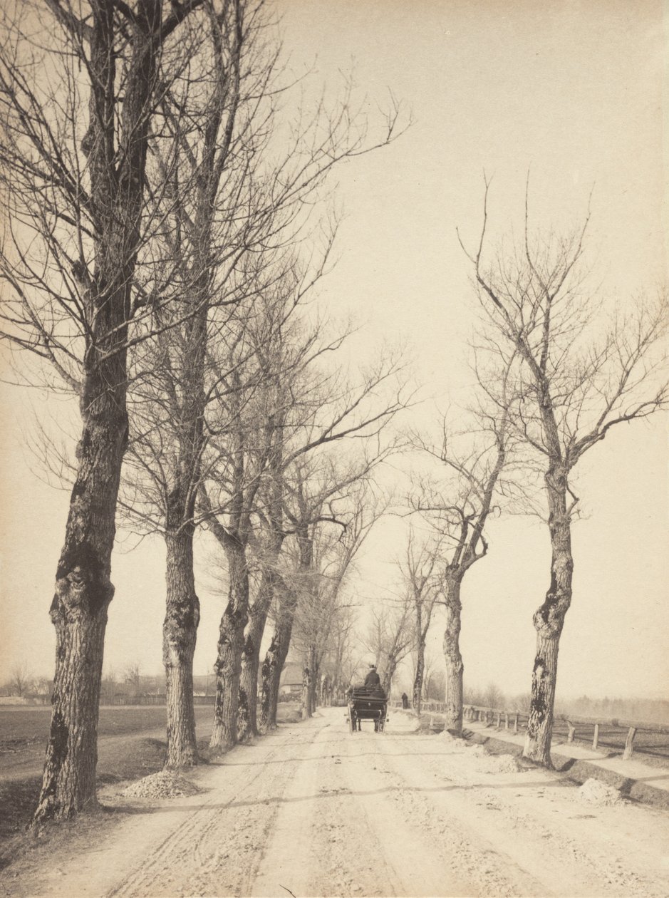 Giorni di novembre da Alfred Stieglitz