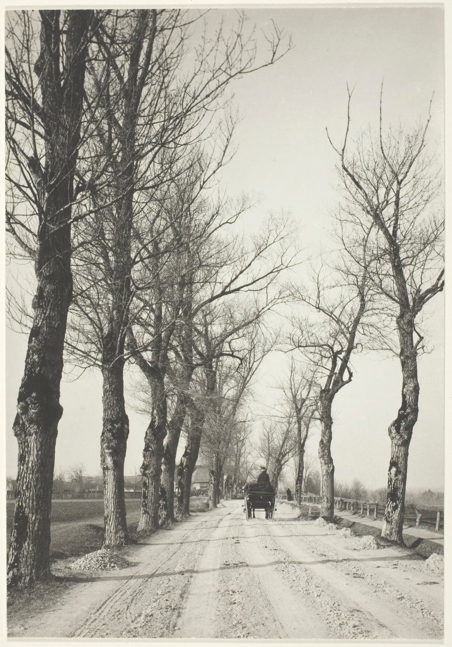 Giorni di novembre, 1887, stampato 192039 da Alfred Stieglitz