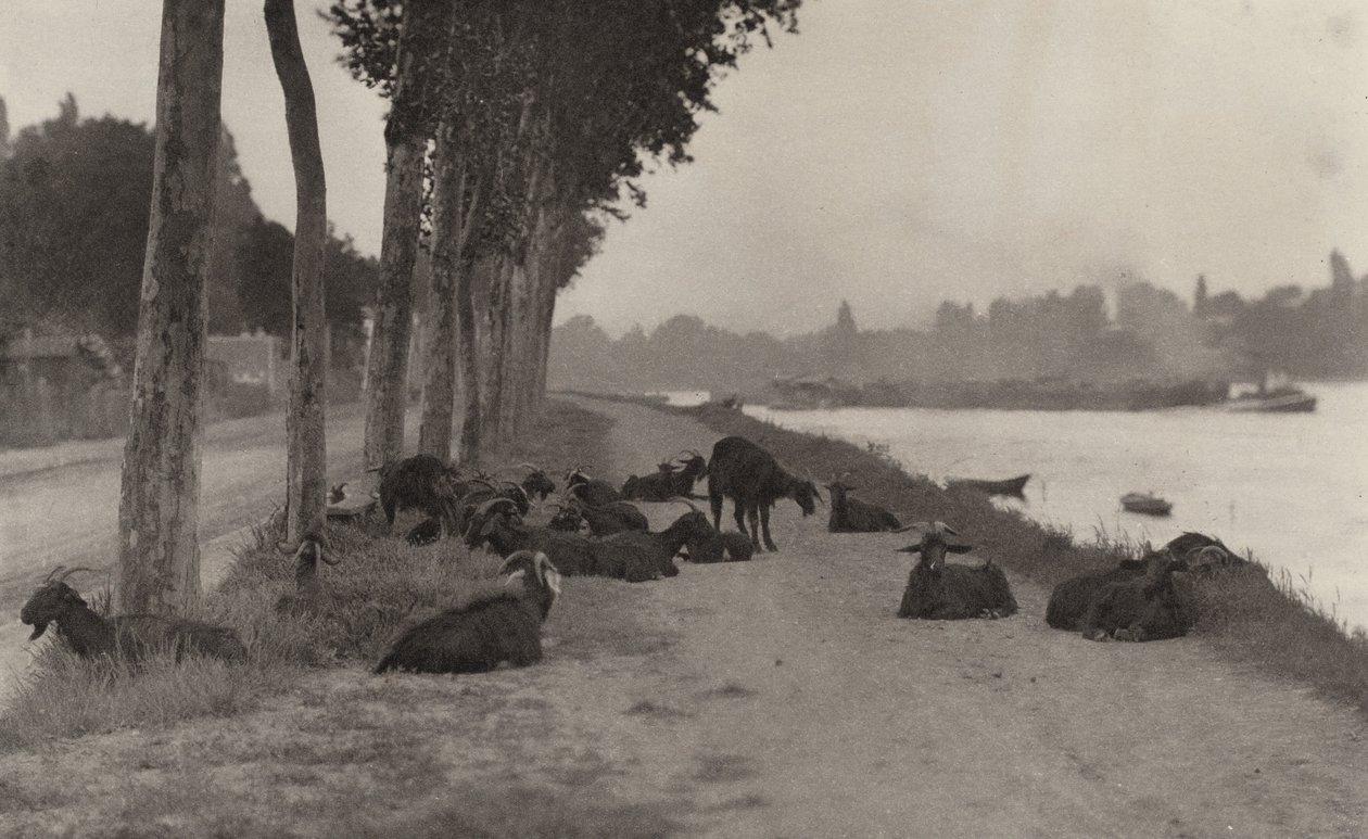 Sulla Senna - vicino a Parigi da Alfred Stieglitz