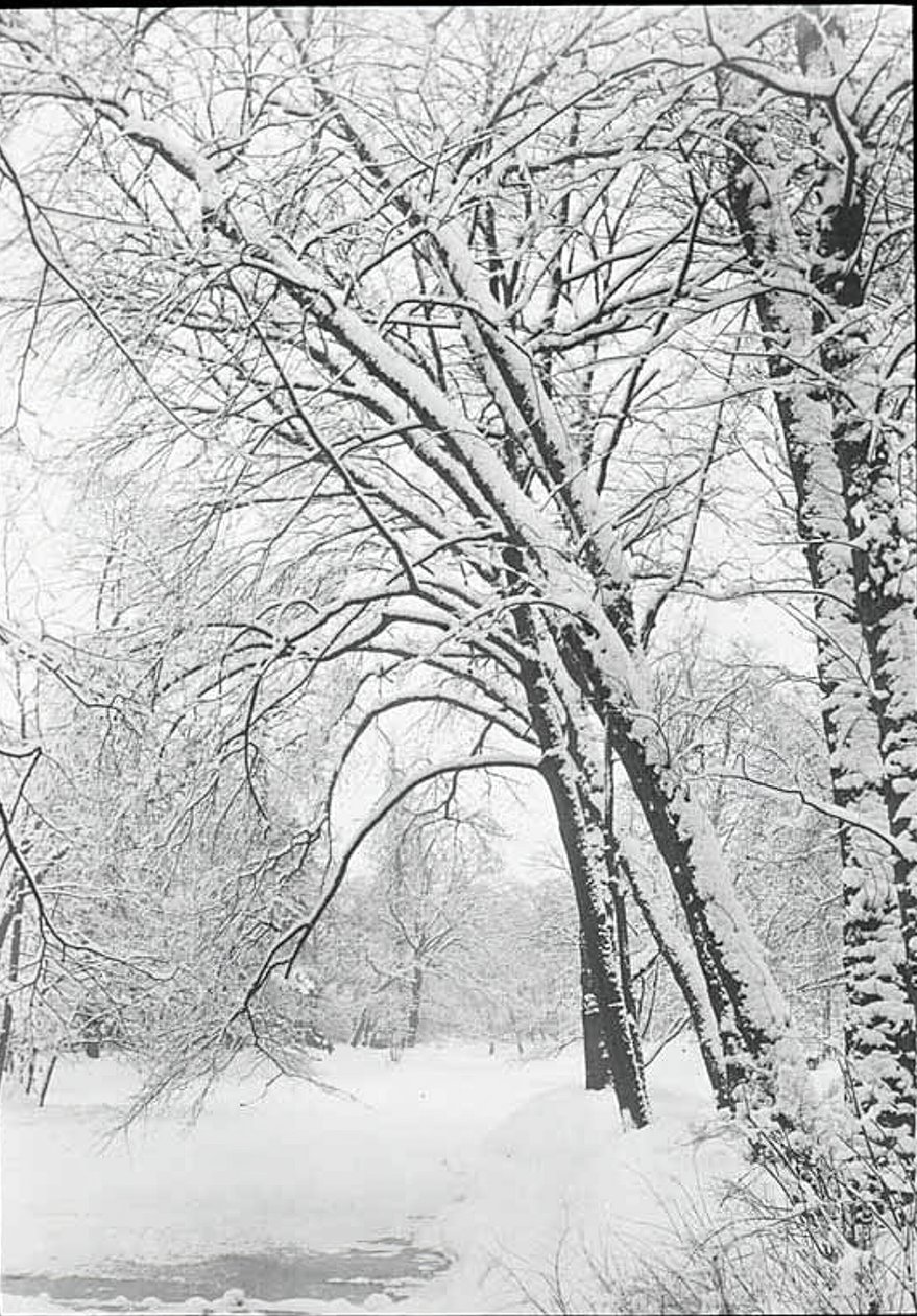 Paesaggio innevato, Berlino da Alfred Stieglitz