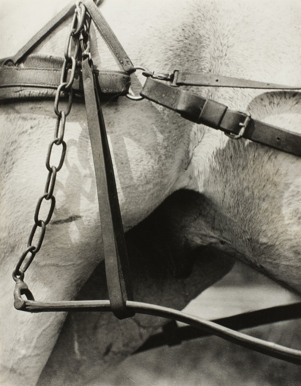 America Spirituale: Canti del Cielo A1 da Alfred Stieglitz