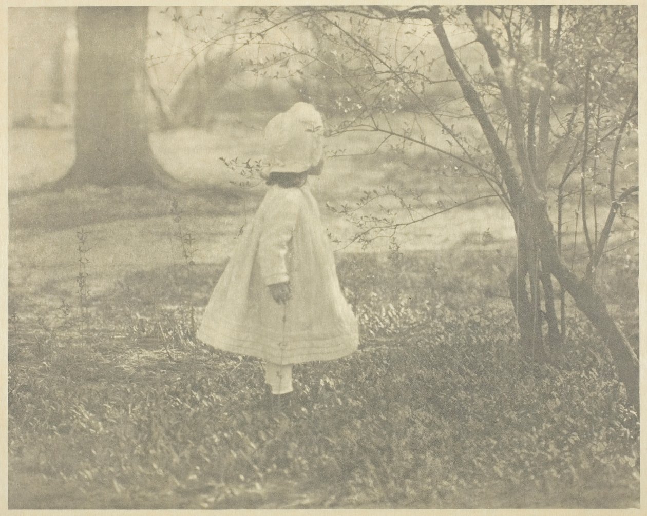 Primavera - Il bambino, 1901 da Alfred Stieglitz