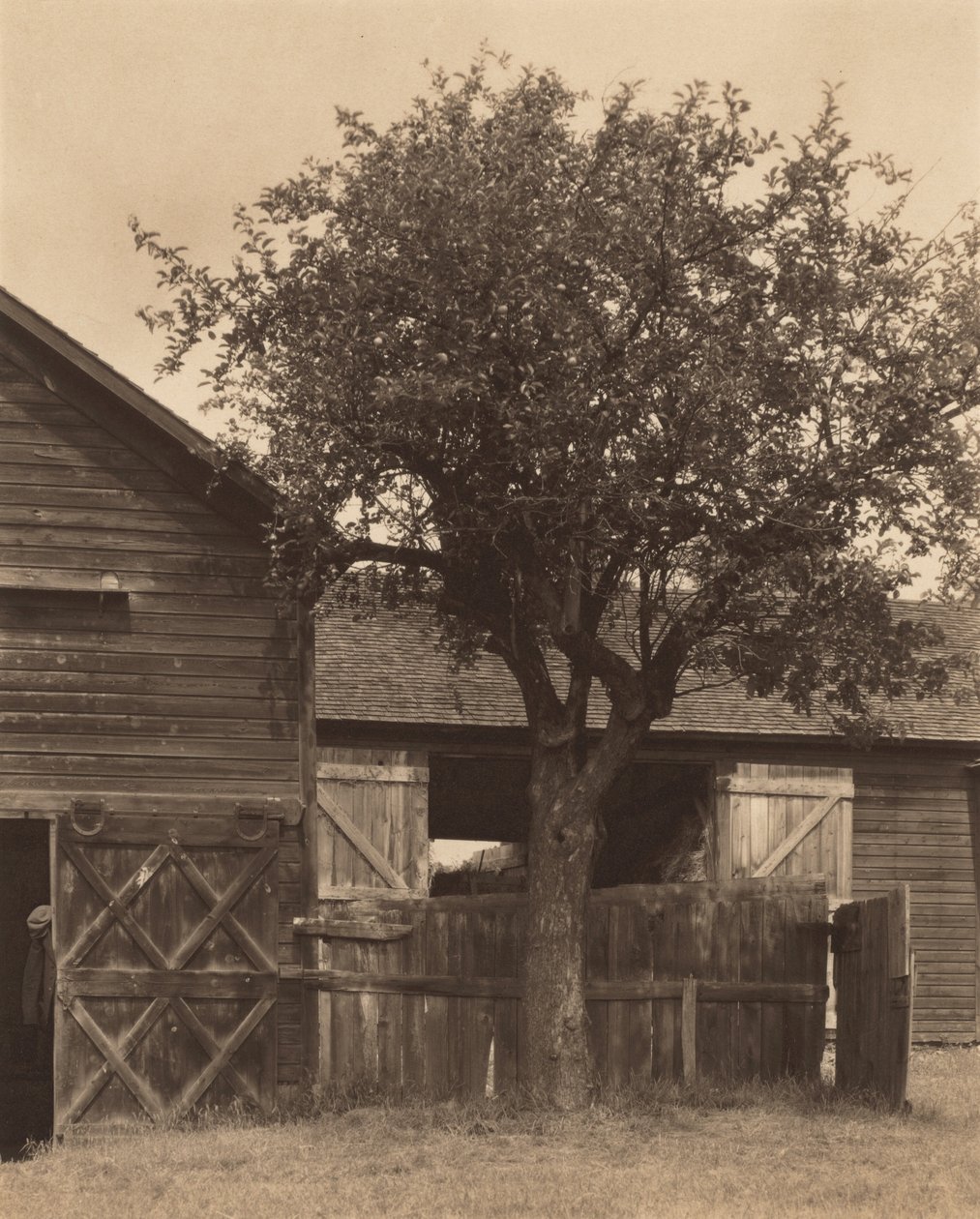 Il fienile da Alfred Stieglitz