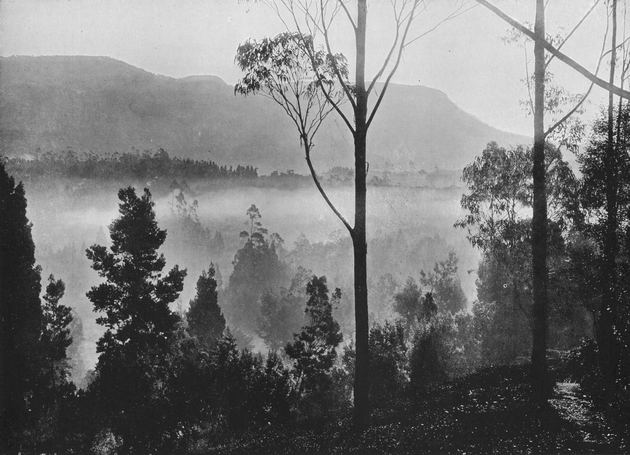 La nebbia del primo mattino che si alza a Nuwara Eliya, c1890, 1910 da Alfred William Amandus Plate