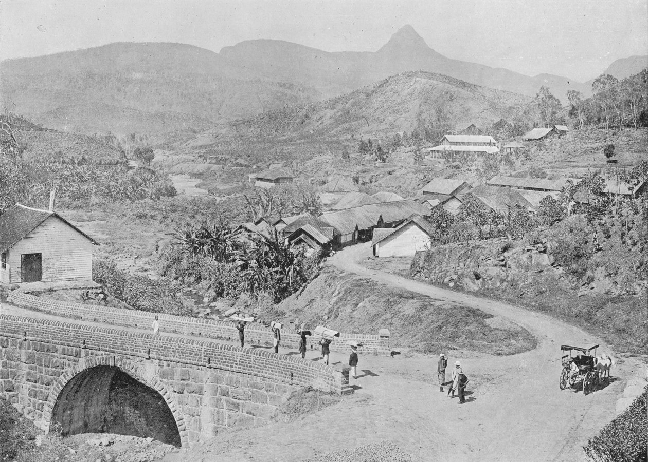 Veduta di Maskeliya con il Picco di Adamo, c1890 da Alfred William Amandus Plate
