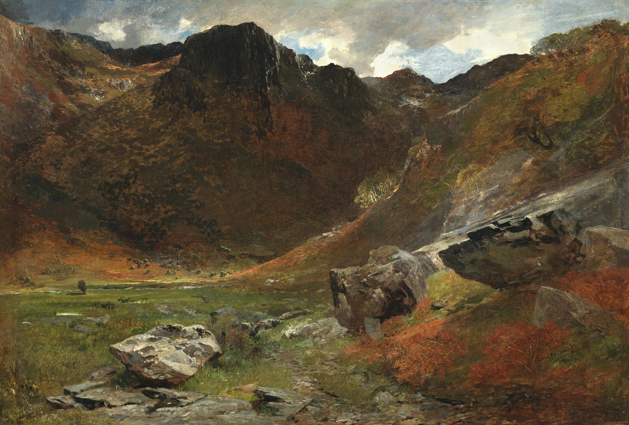 Una valle paludosa dalla natura da Alfred William Hunt