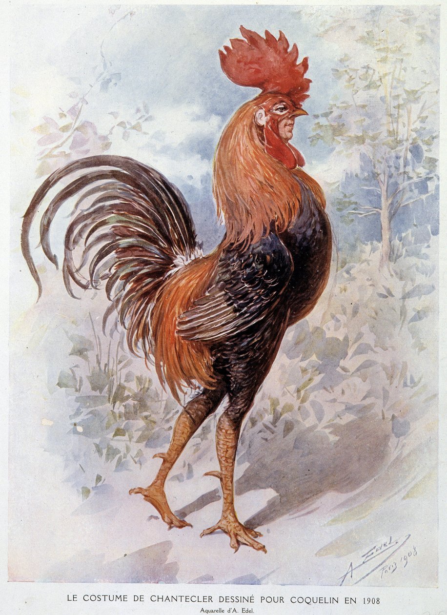 Costume del Gallo di Chantecler disegnato per Constant Poppy nel 1908, opera in versi di Edmond Rostand da Alfredo Edel