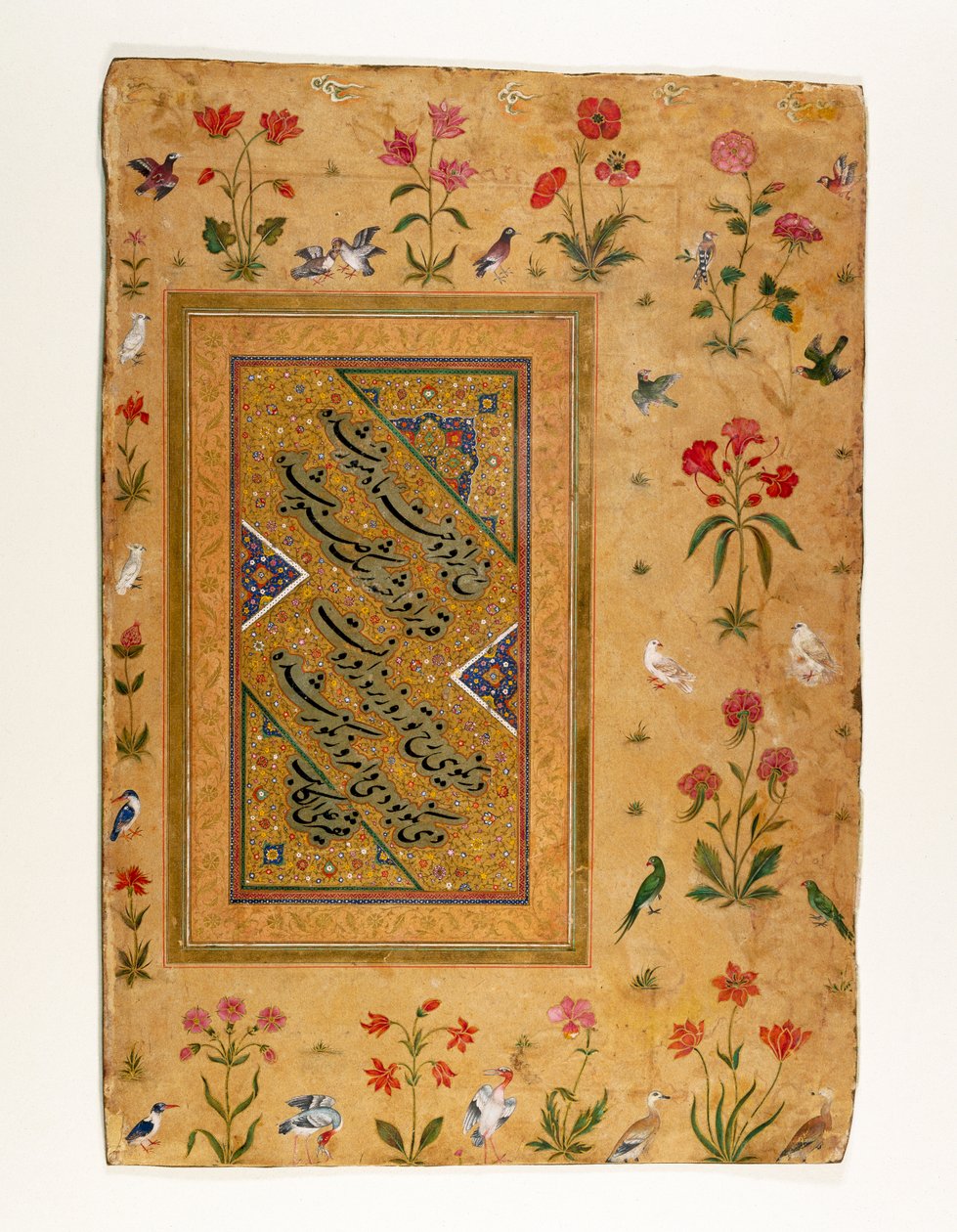 Campione di calligrafia persiana da un album Mughal da Ali Haravi