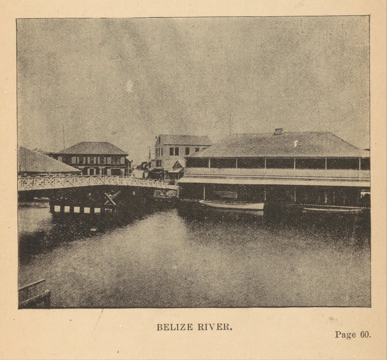 Fiume Belize da Alice Dixon Le Plongeon