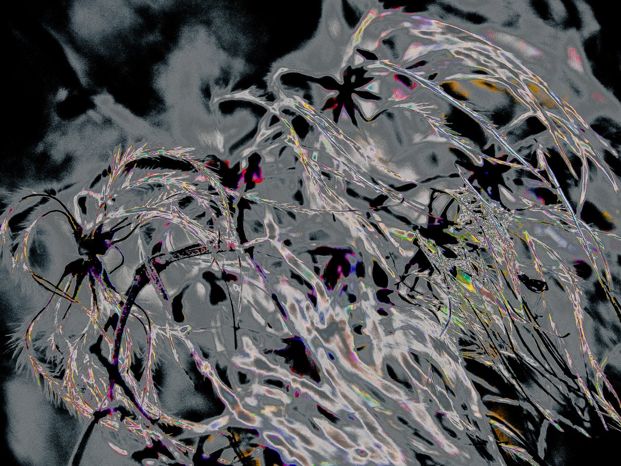 Countryfile, 2015 (fotografia) da Alice Gur Arie